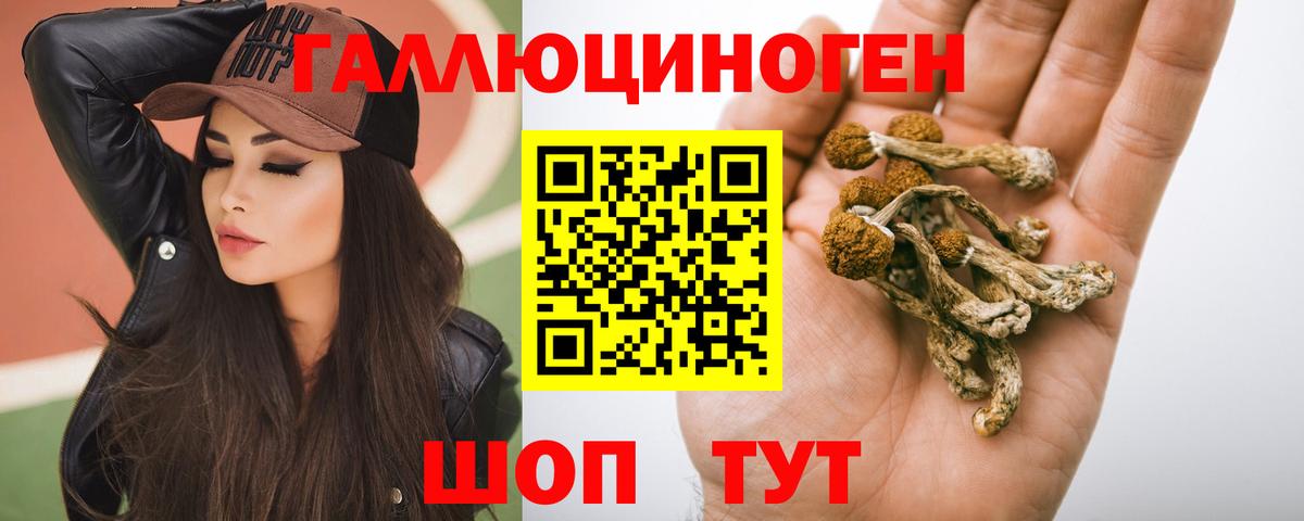 Галлюциногенные грибы мицелий  Вход с VPN  Курчалой 